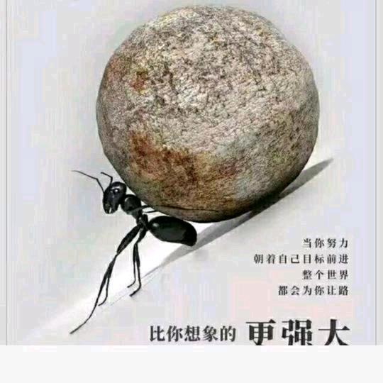拼搏
