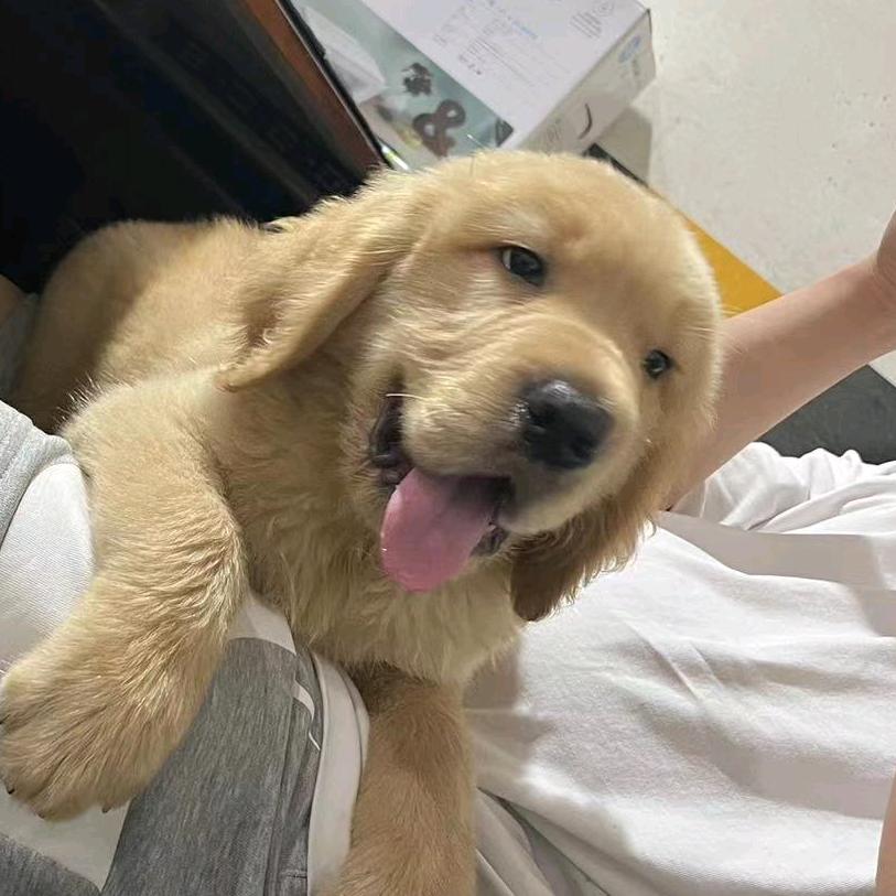晓螃蟹✌