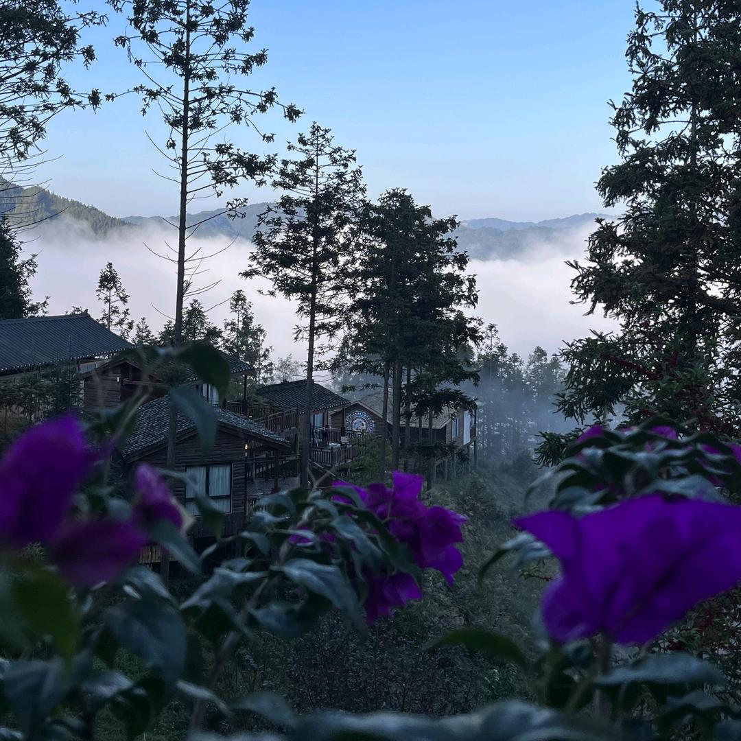 @农村阿哥☜