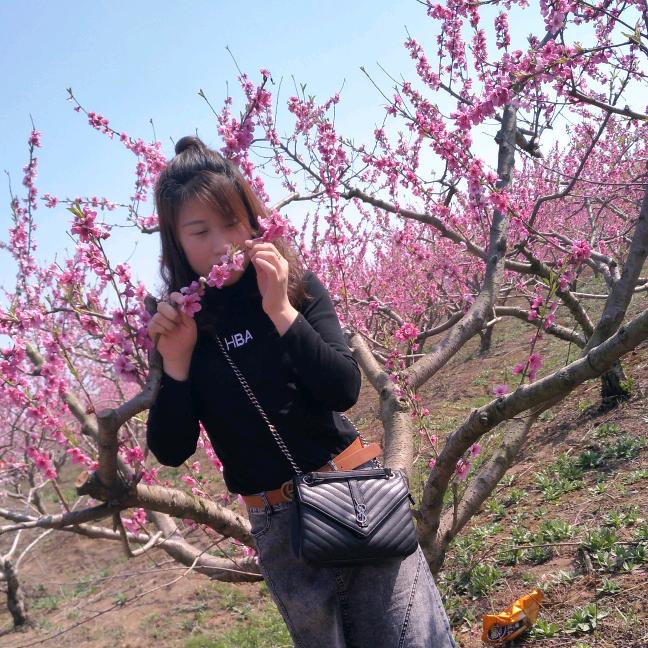 人生  如梦