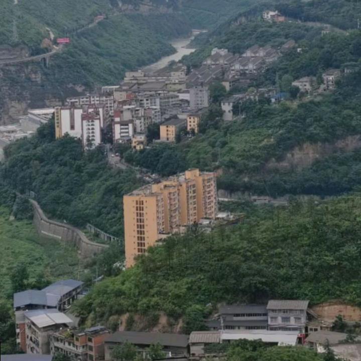 野     狼    家少爷