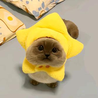 尧咩咩
