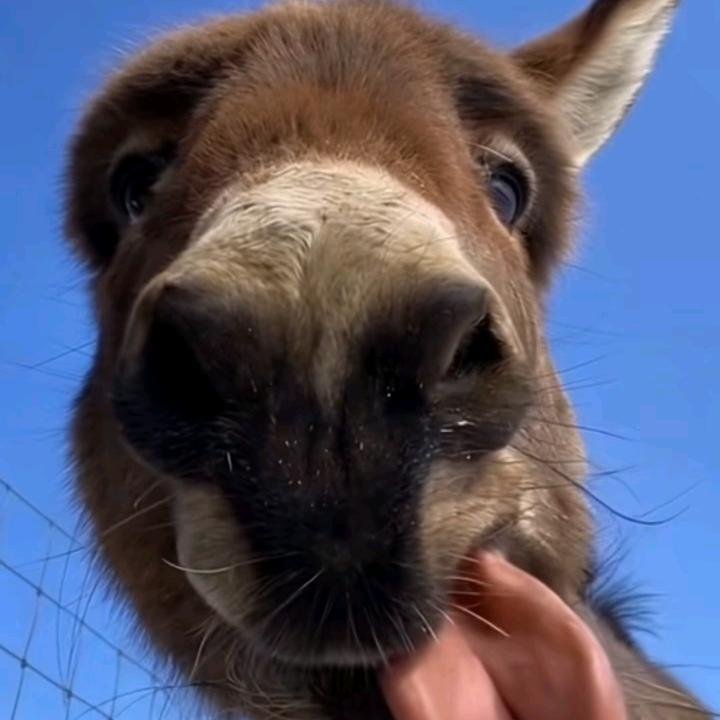 Jaino°的生活碎片