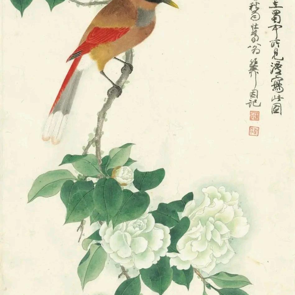 健康热线