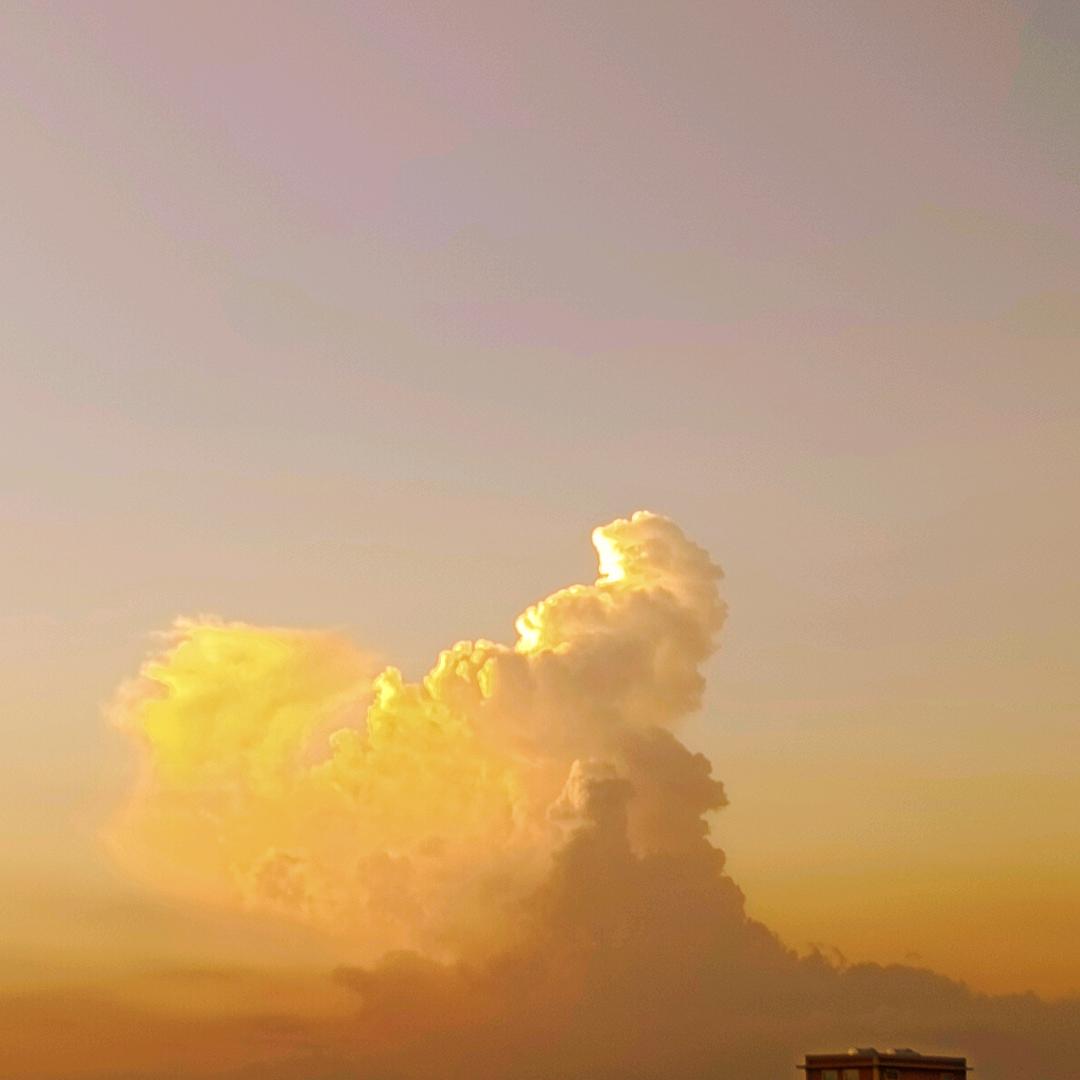 小朱朱