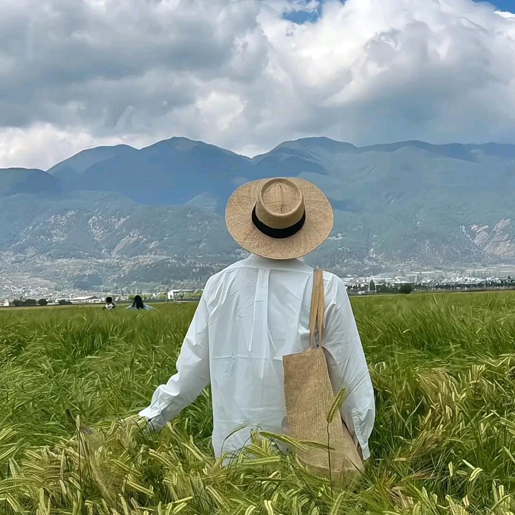 张君羊🐏（六年之约版）