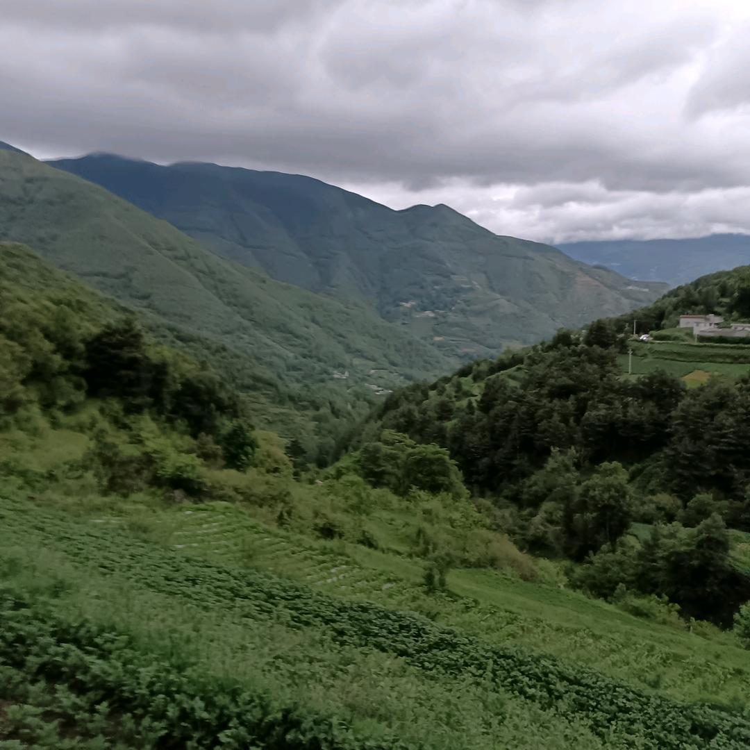 人心总是看不穿单亲妈妈