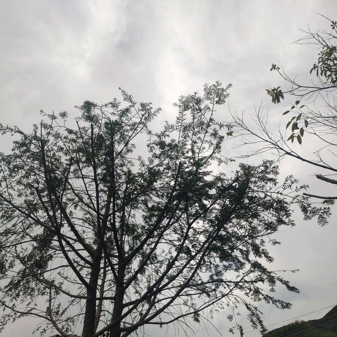 圆圆百货推荐