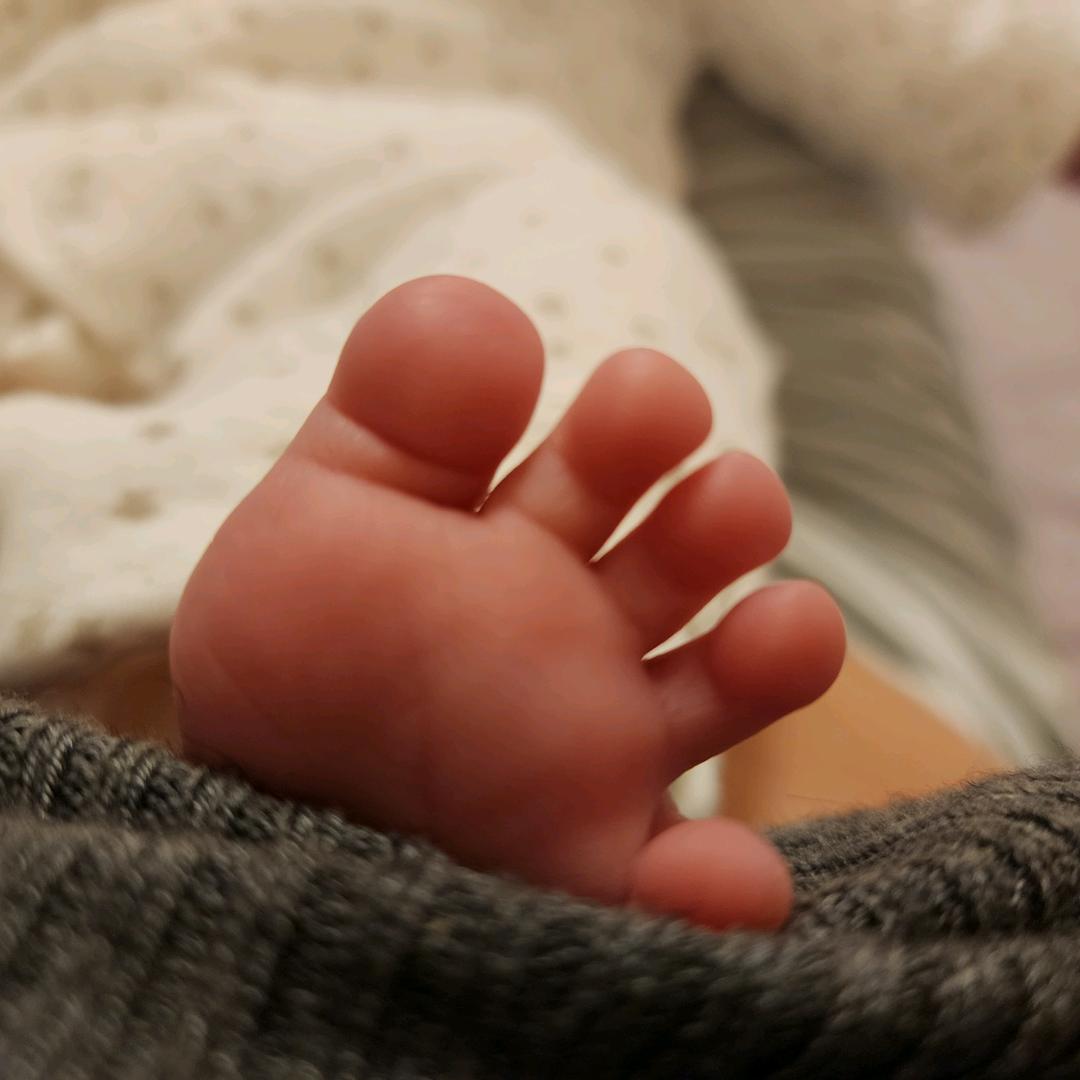 橘子不是唯一的水果