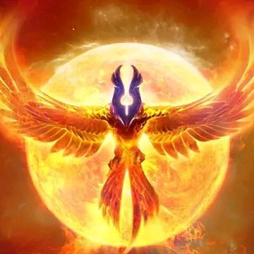 ⭐️⭐️⭐️⭐️⭐️