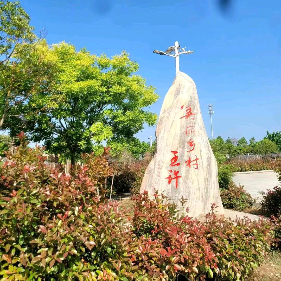 王许李杨