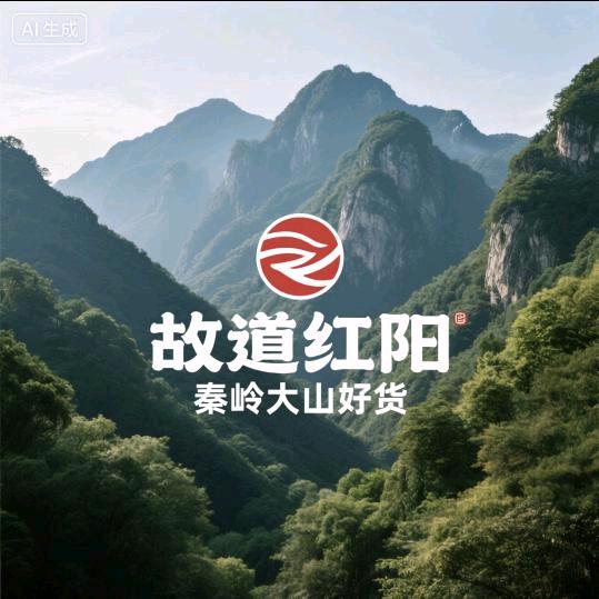 故道红阳三秦优选铺子