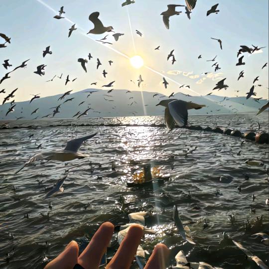 空欲（三角洲行动）