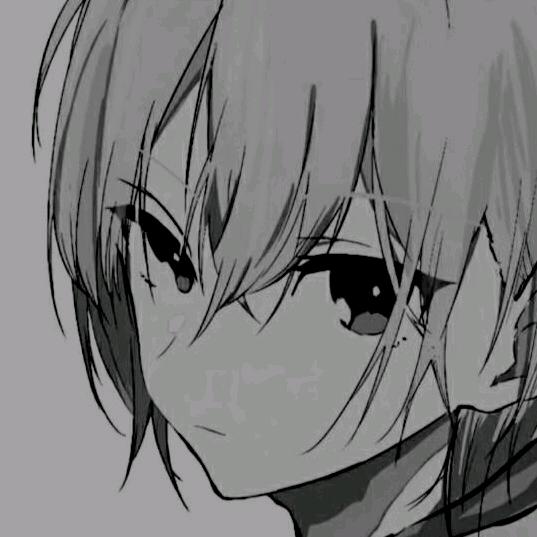 纸质