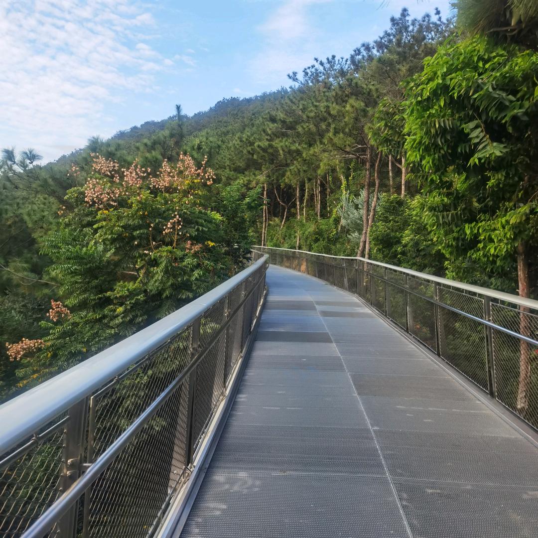 最熟悉的陌生人