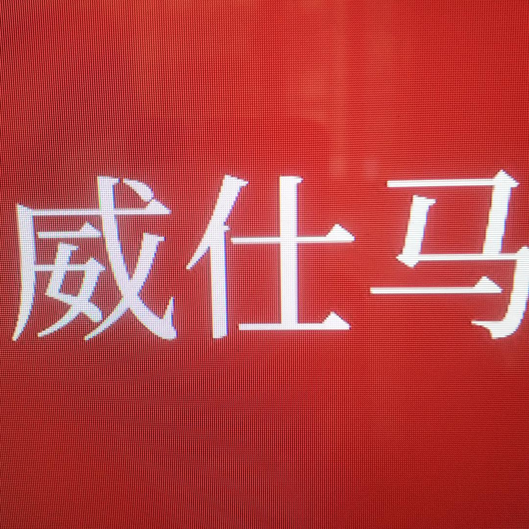 威仕马