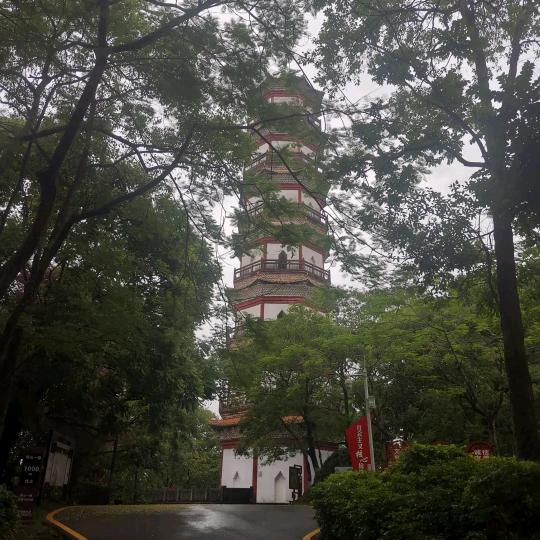 巳亮也
