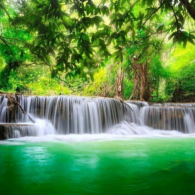 爱玛电动车（韦姐）