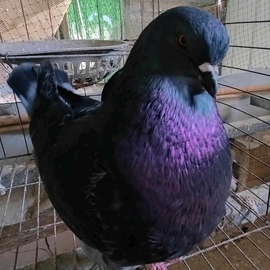 高高兴兴又一天