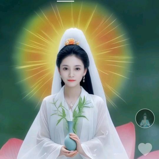 菩🙏提🙏树🙏