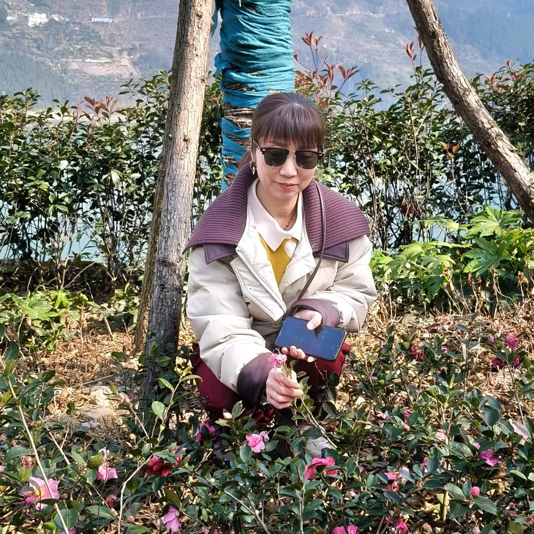 玉珍🌹余生好好爱自己