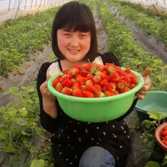 梅姐汉中热米皮