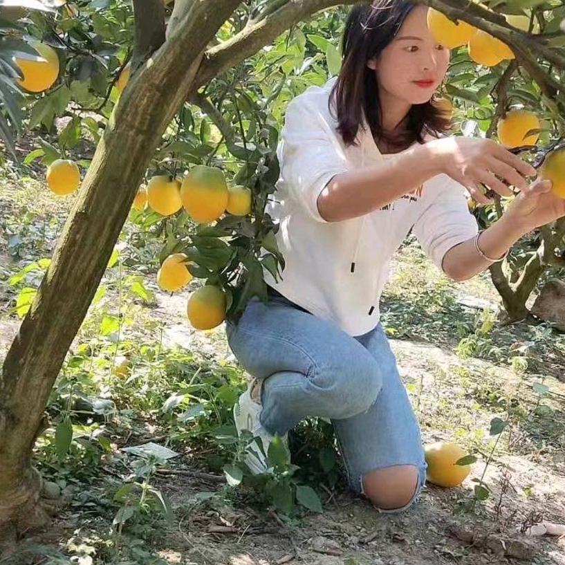 丰山老桥头水酒，酒酿，（收水酒学徒）