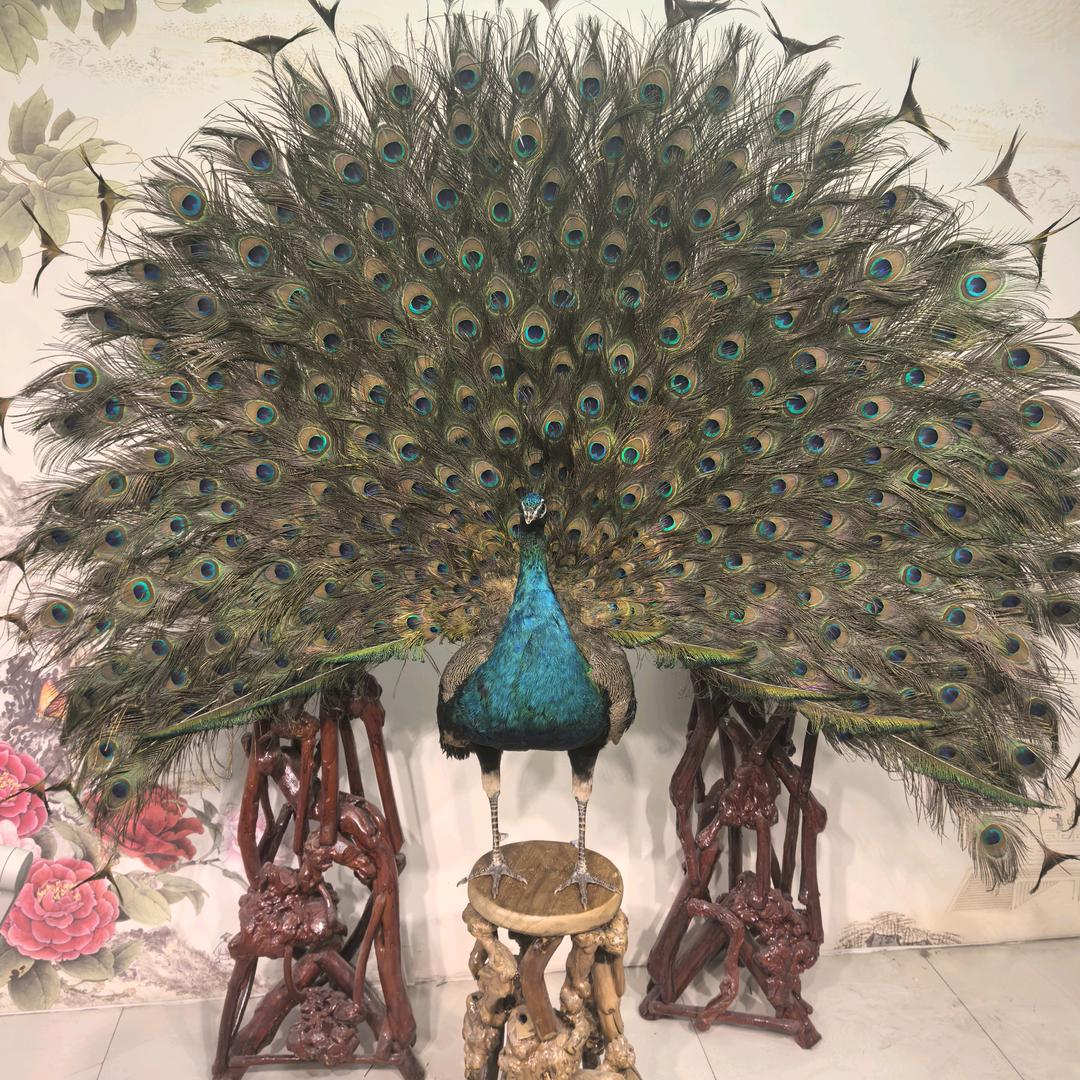 孔雀工艺品