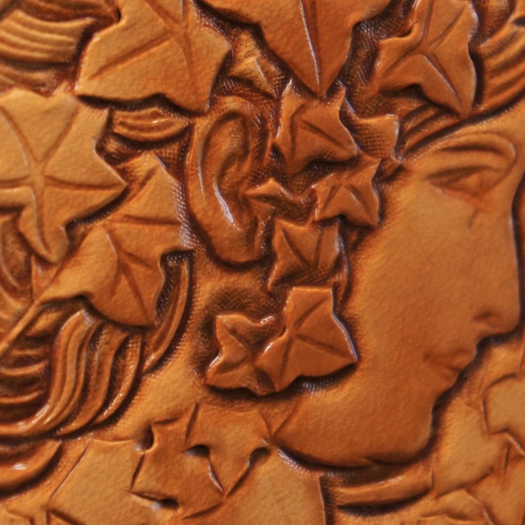 虾滑爱吃胡萝贝