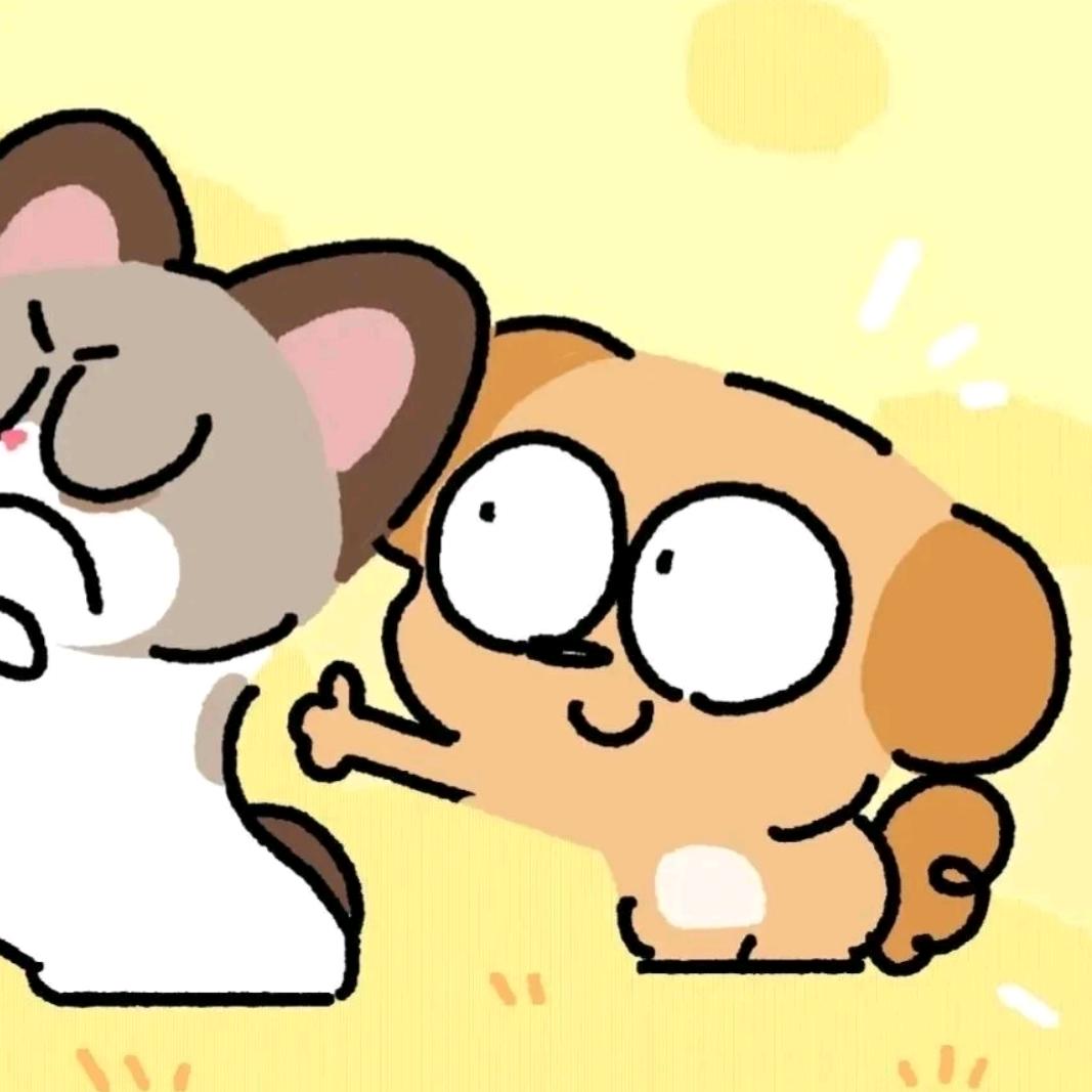 遇懿