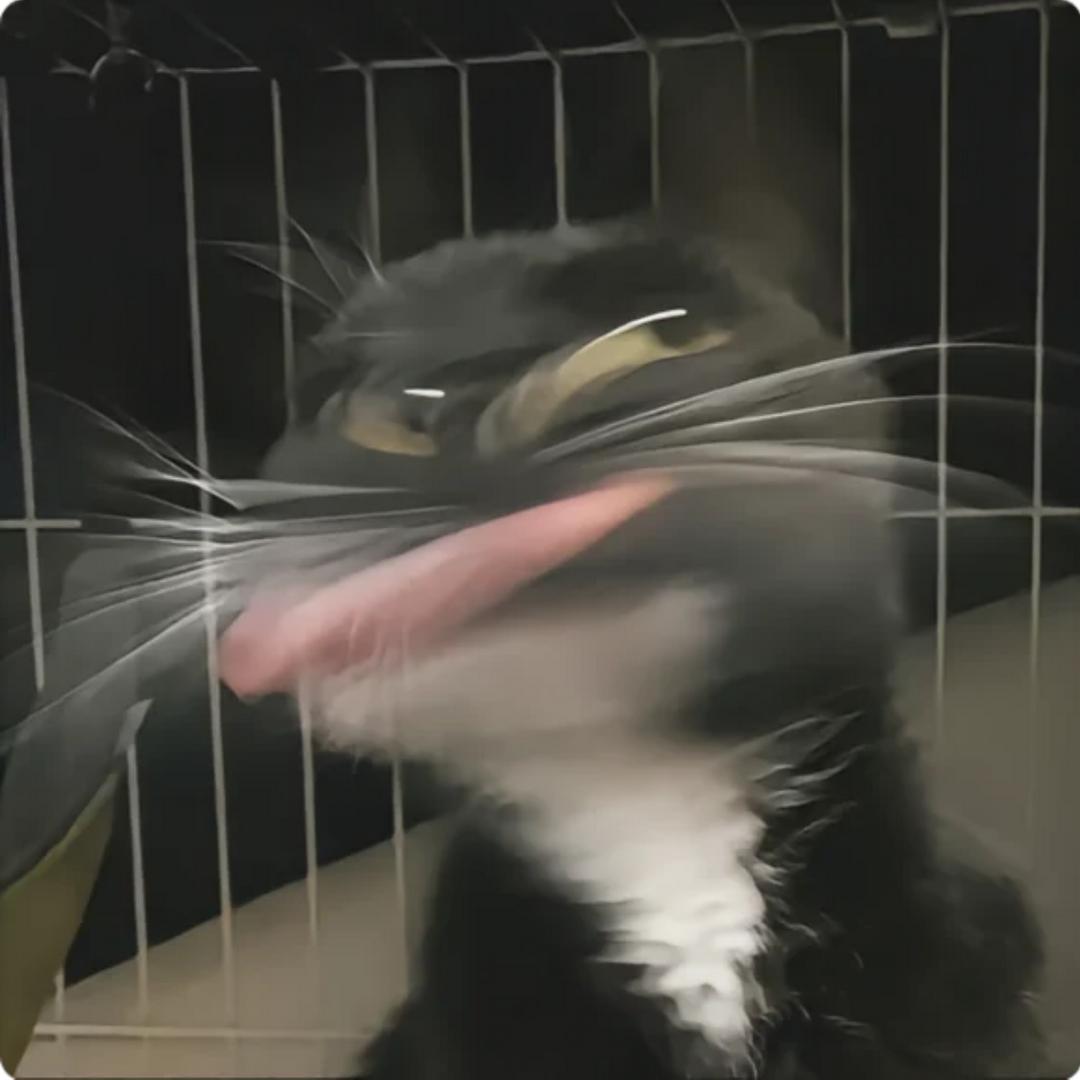 二等饼干