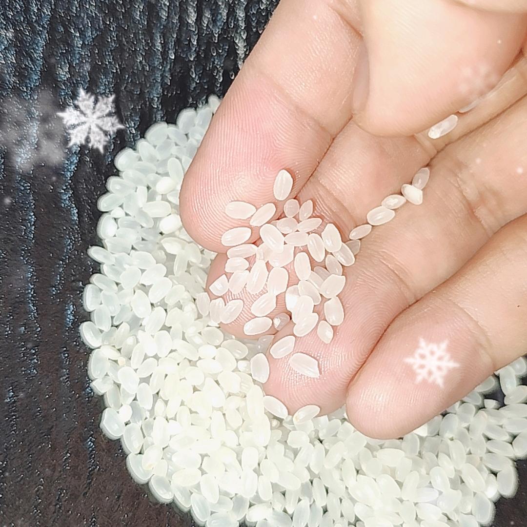 全网大米卷王