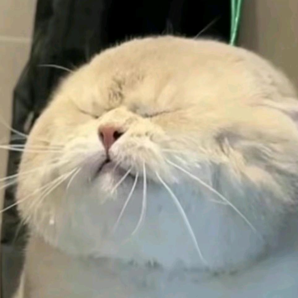 吃糖的四脚兽