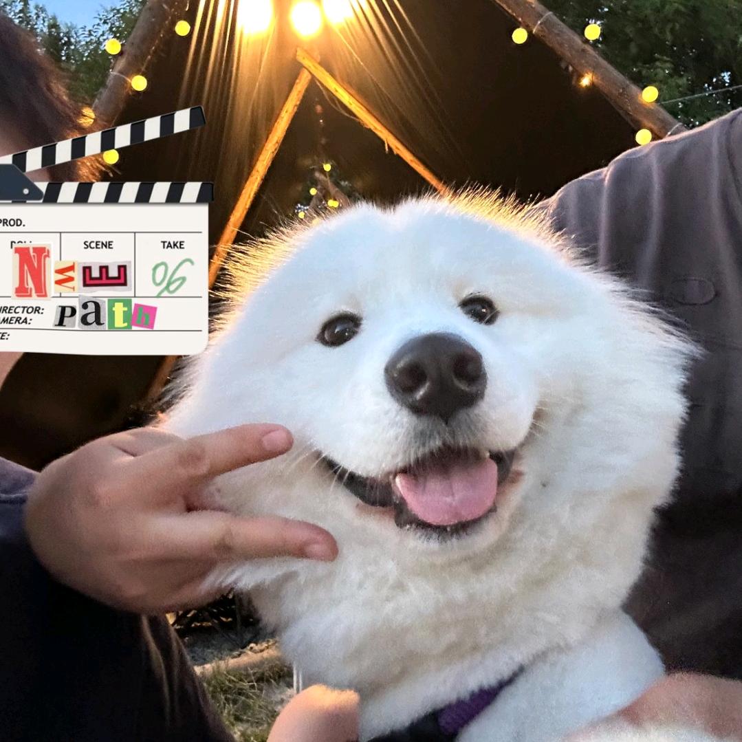 徐槿Zzz