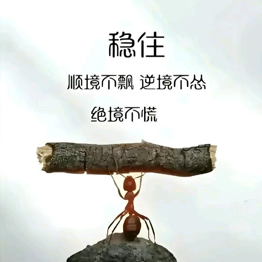 ღ᭄💞农村人℘᭄ᩚ꯭