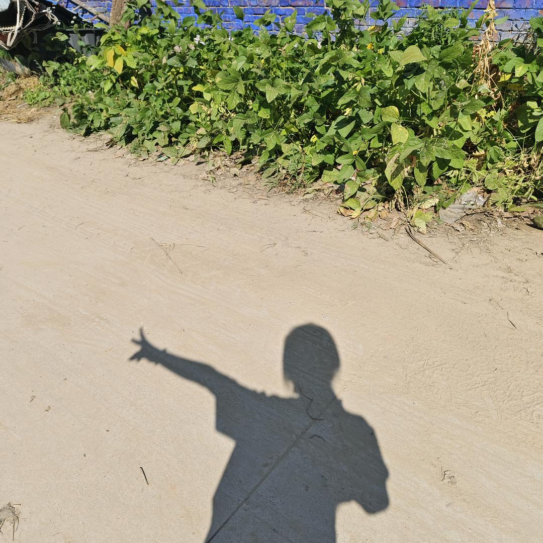 秋风扫落叶