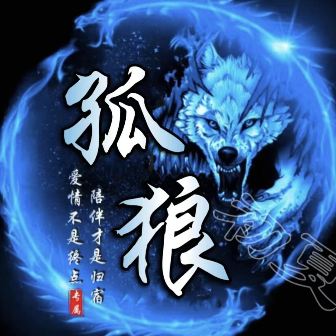 西北滴滴滴孤狼