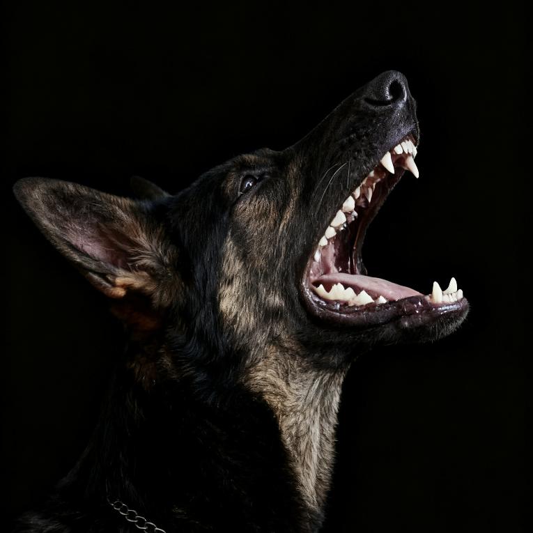 刘先生（小伟）