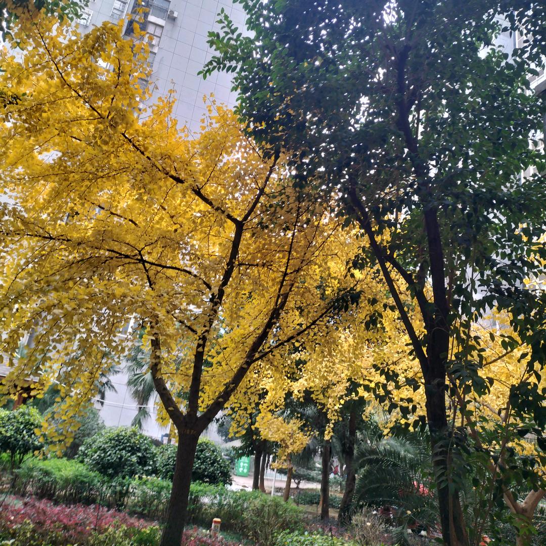 🌈吸金体质🌈