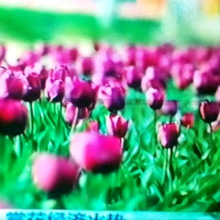 :心想事成@抖音