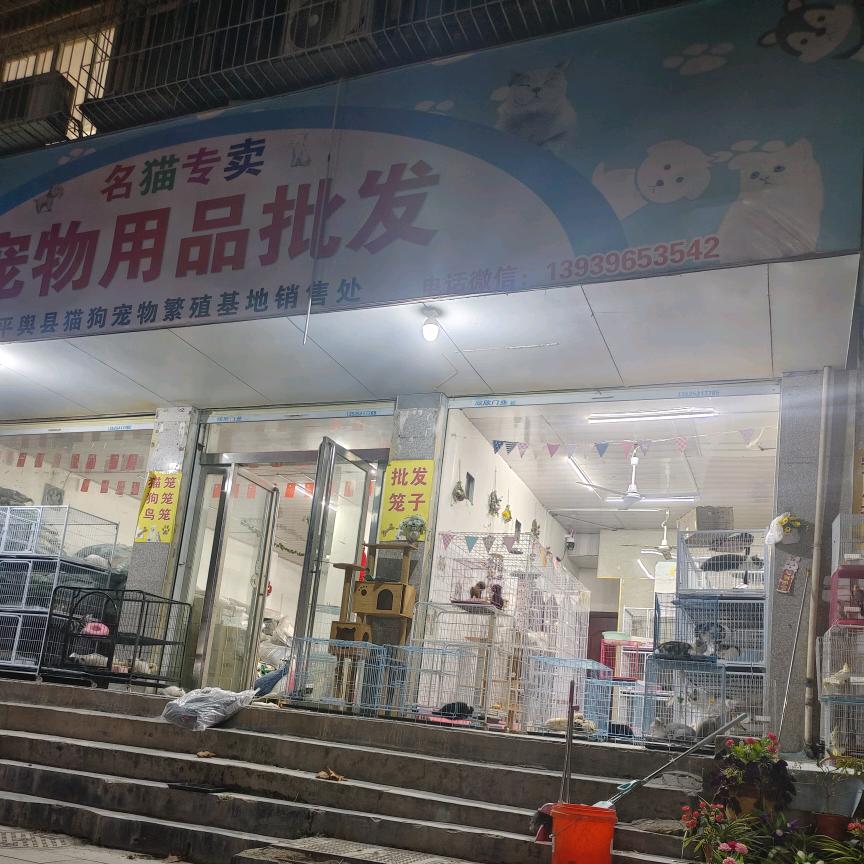广超爱养宠