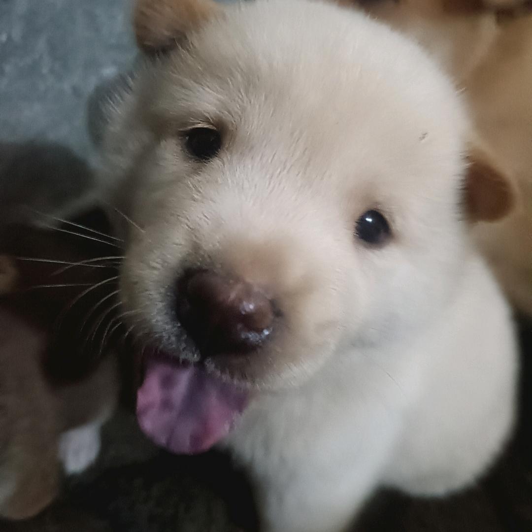 我爱发疯