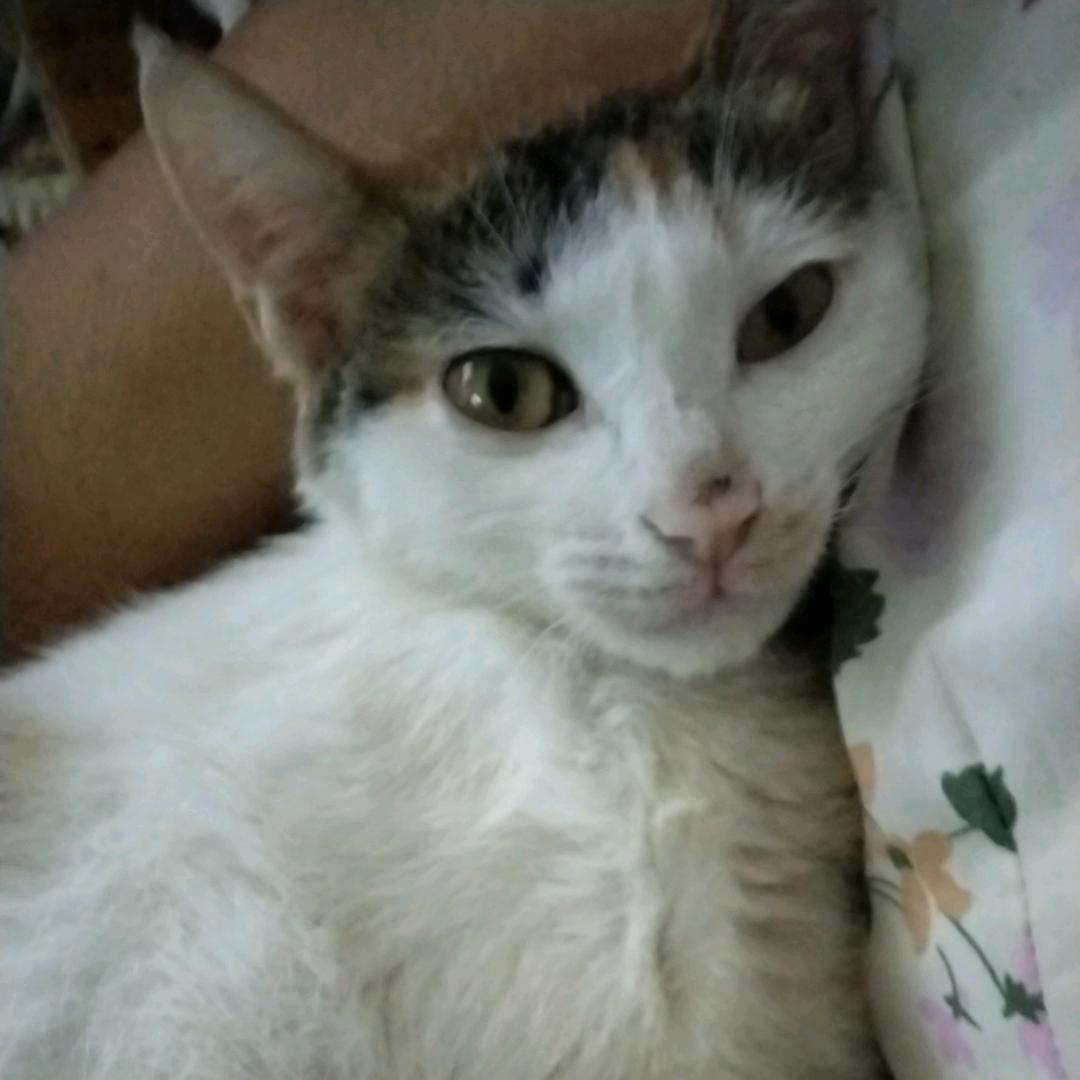 用户9503784309588
