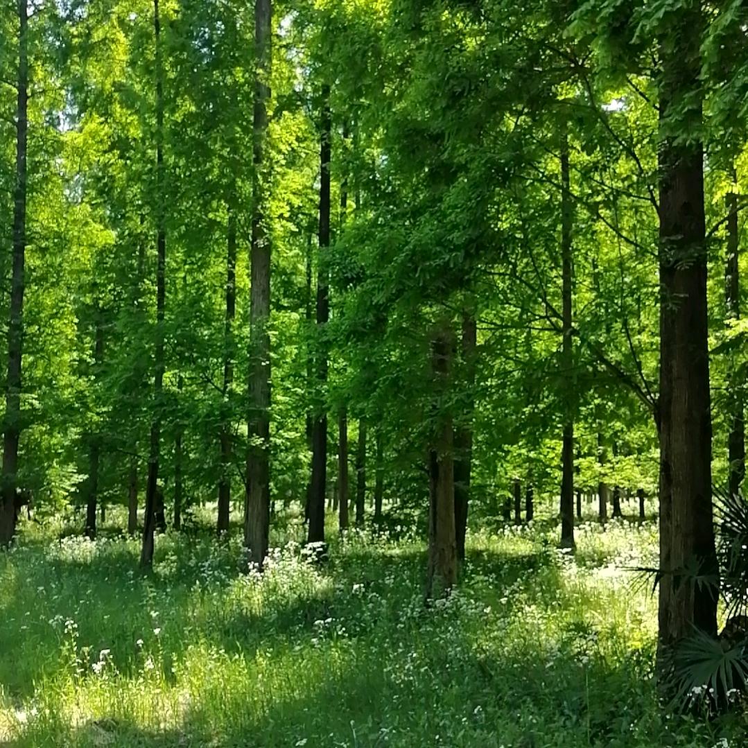 💞明🎉天✨更🎄美🌼好🎉🎉