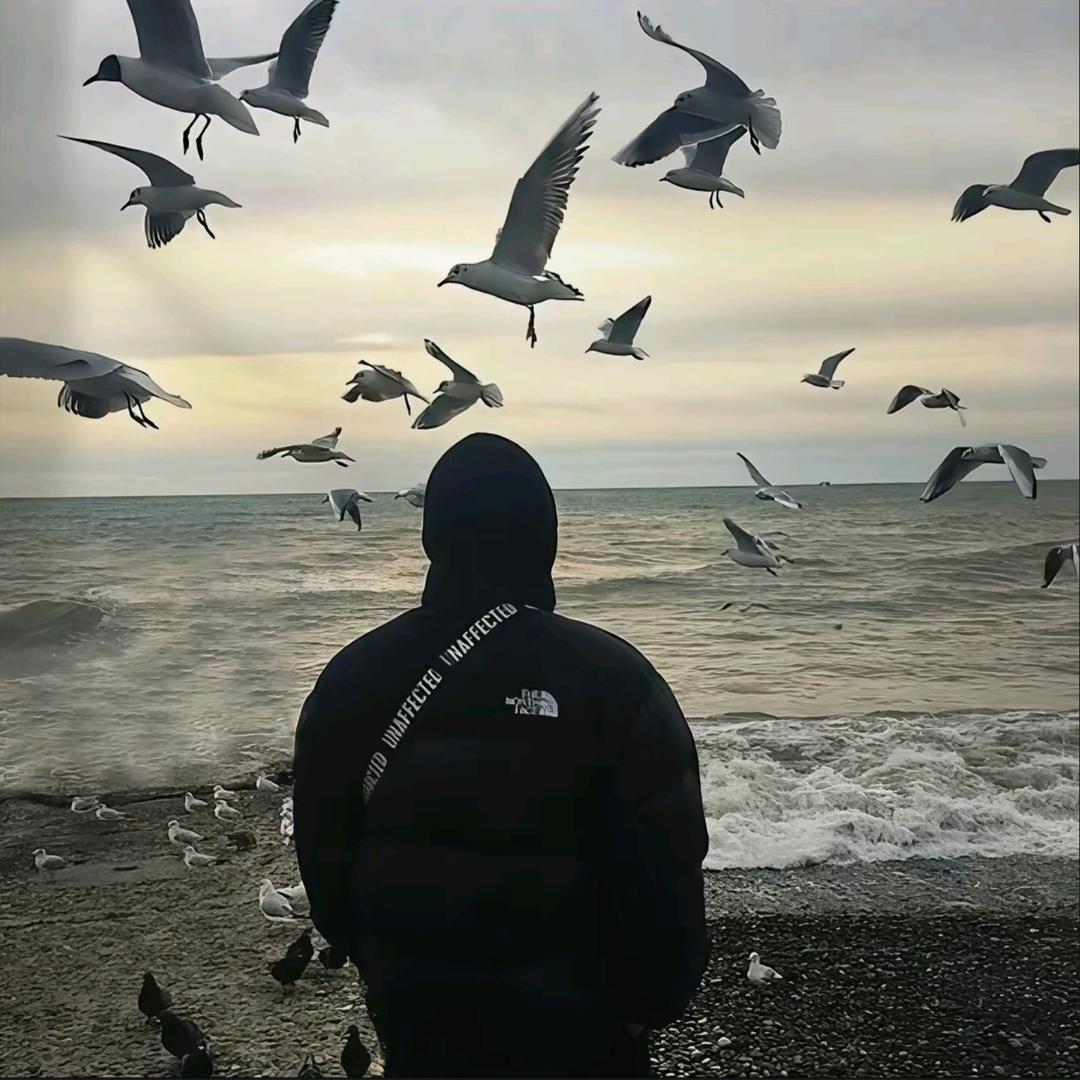 被门夹过的核桃