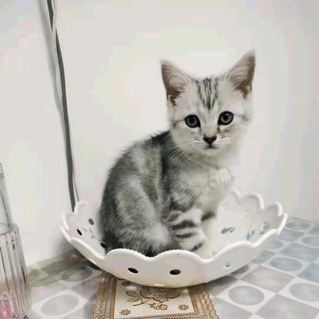 没死别喊停💪💪💪💪