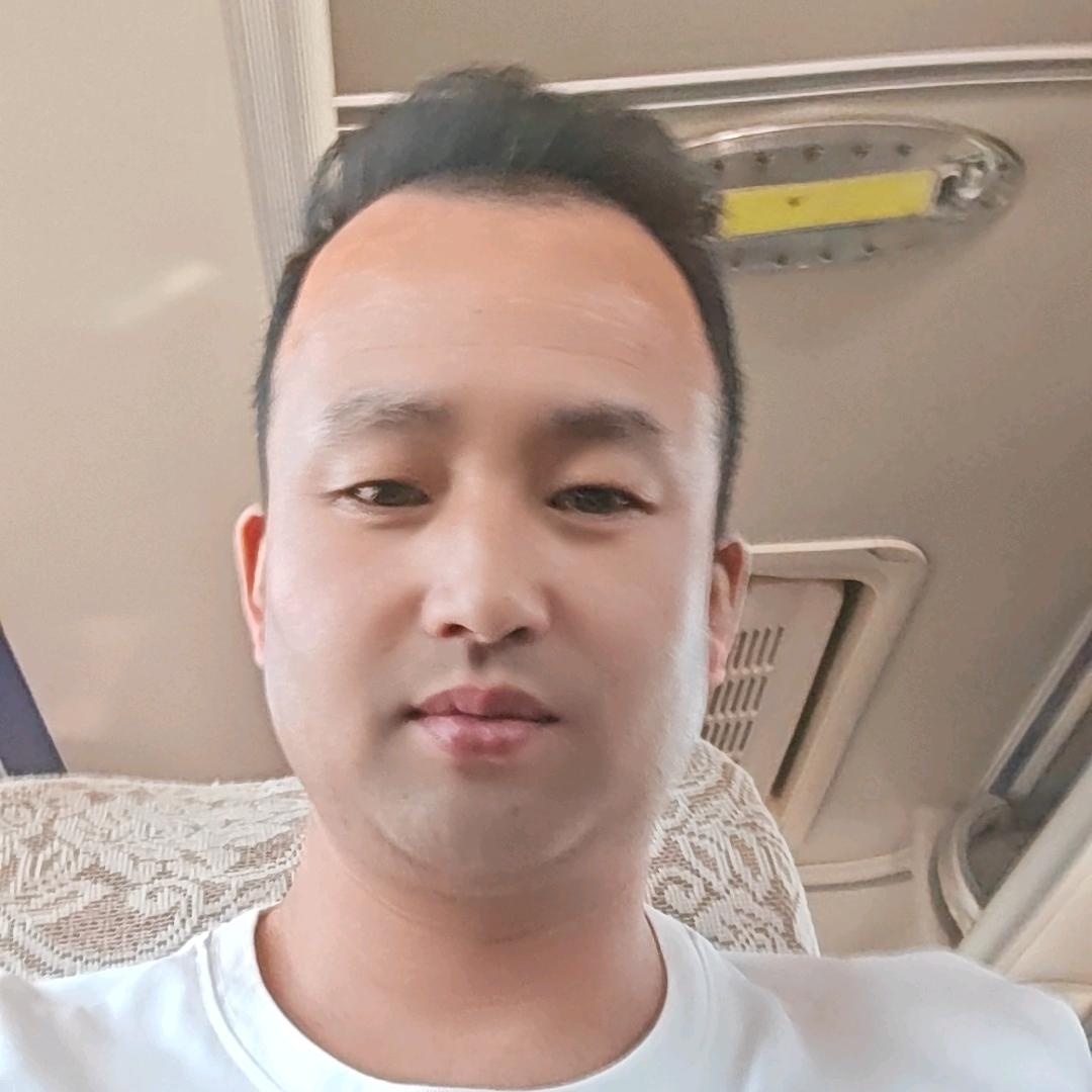 飞鹰