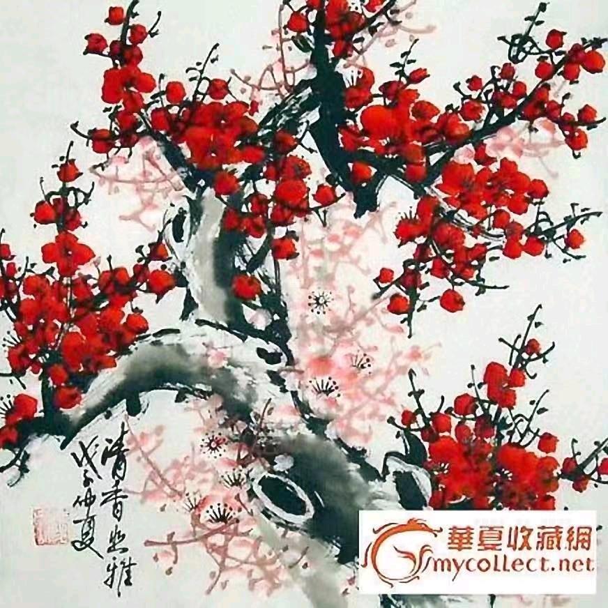 慧