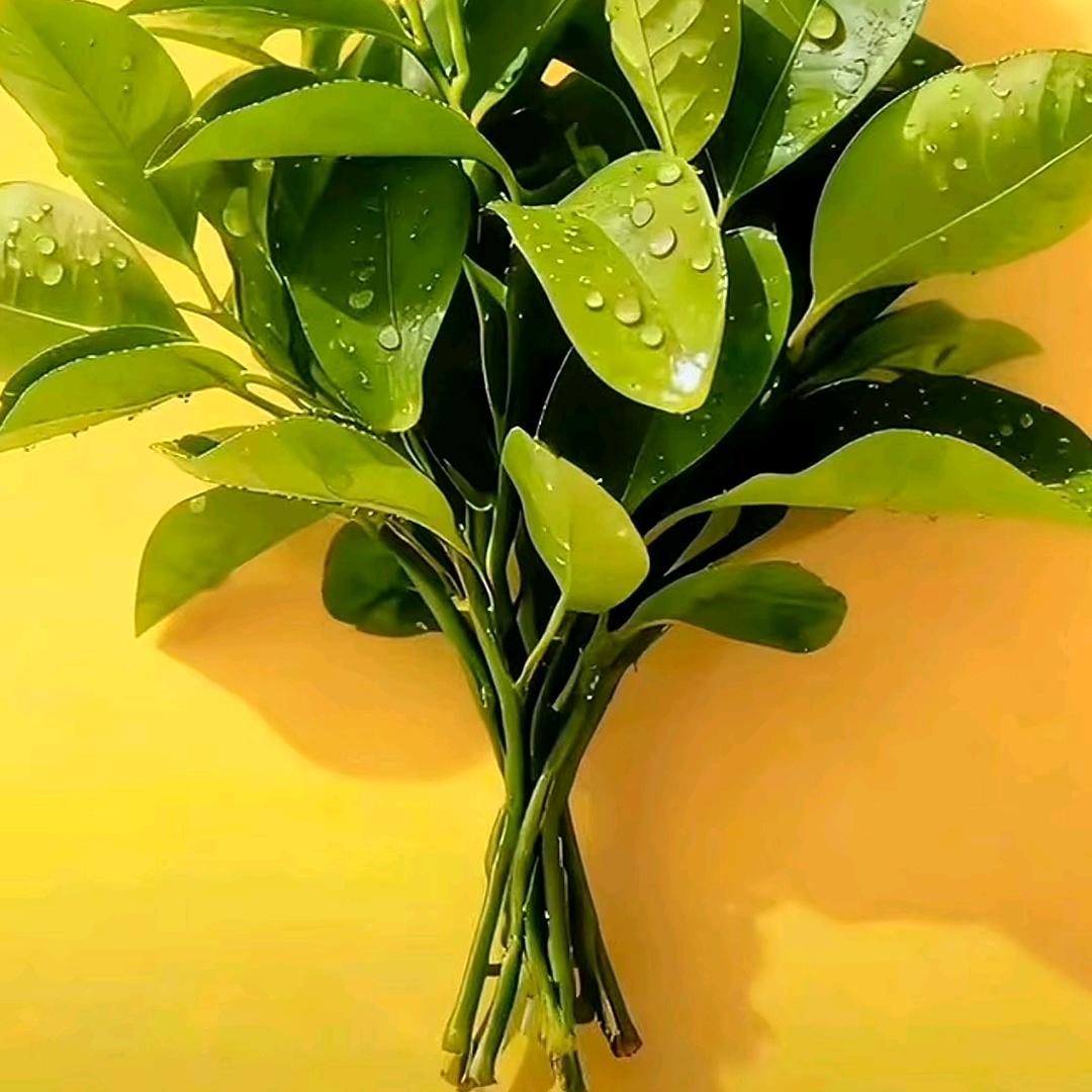 💞༊এ未来可期