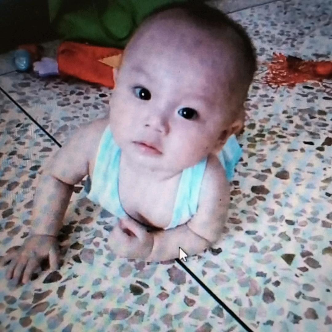 杨
